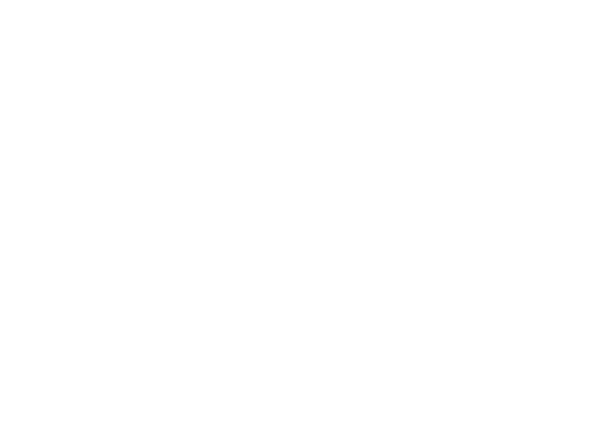 duan stevens plumbing & heating solutions logo upscaled white